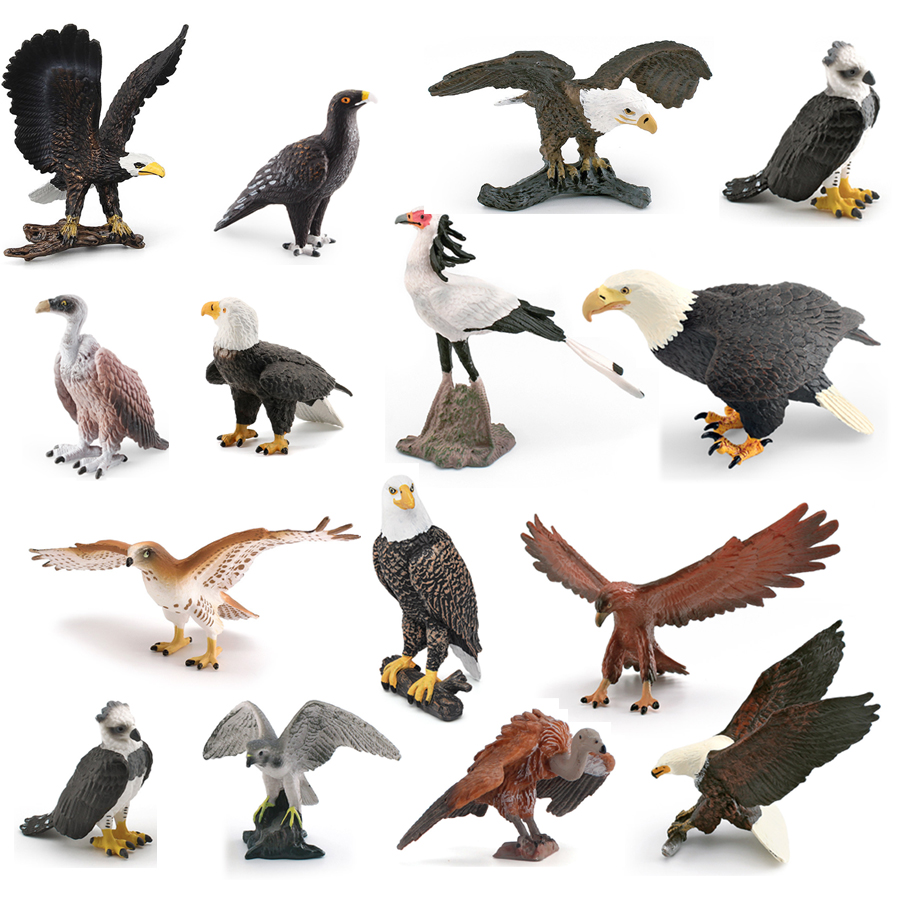Kids Education Picture - Realistische Wildtier-Tiere, Rostvögel, Geier, goldener Adler,
