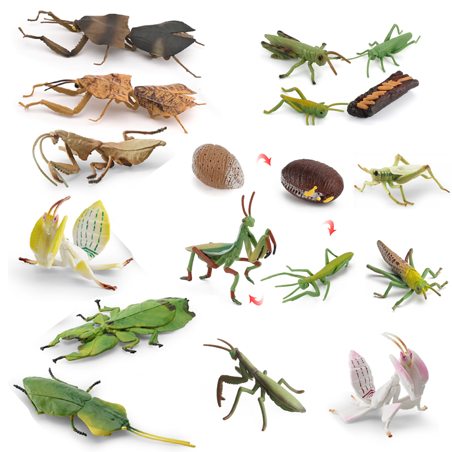 Kids Education Picture - Realistische Orchideen-Mantis, tote Blatt-Mantis, riesiges Blattinsektenmodell,