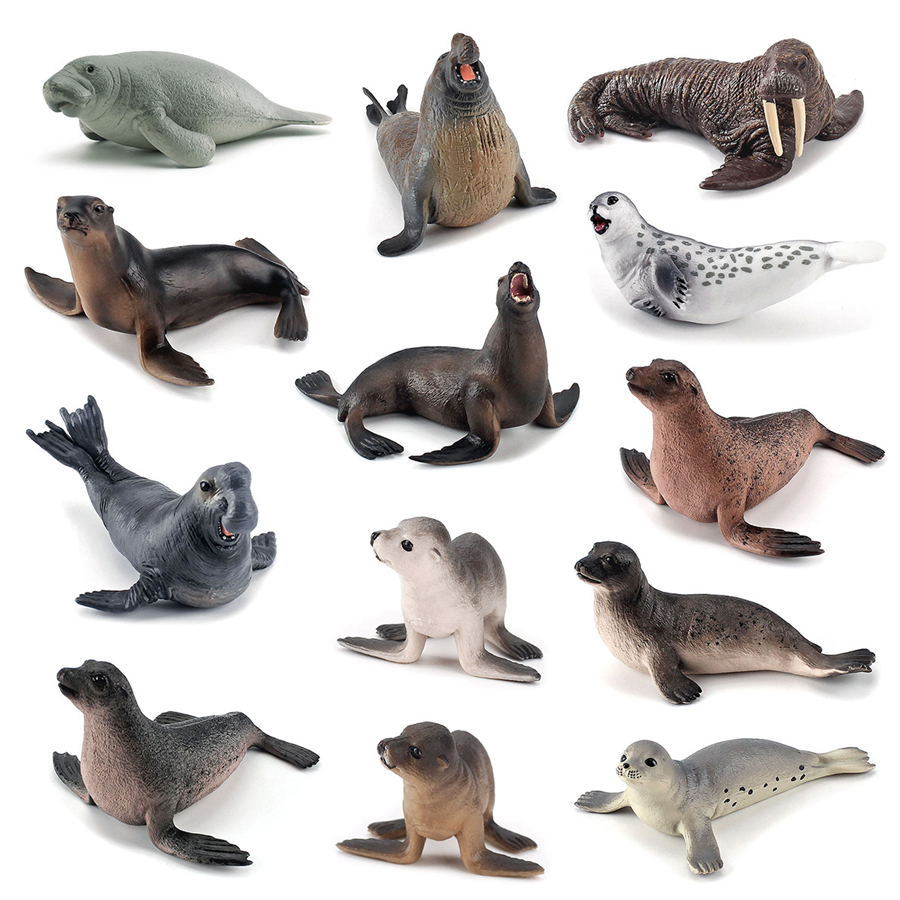 Realistische Dugong-, Manatee- – Kids Education Fun Bewertung und Preis