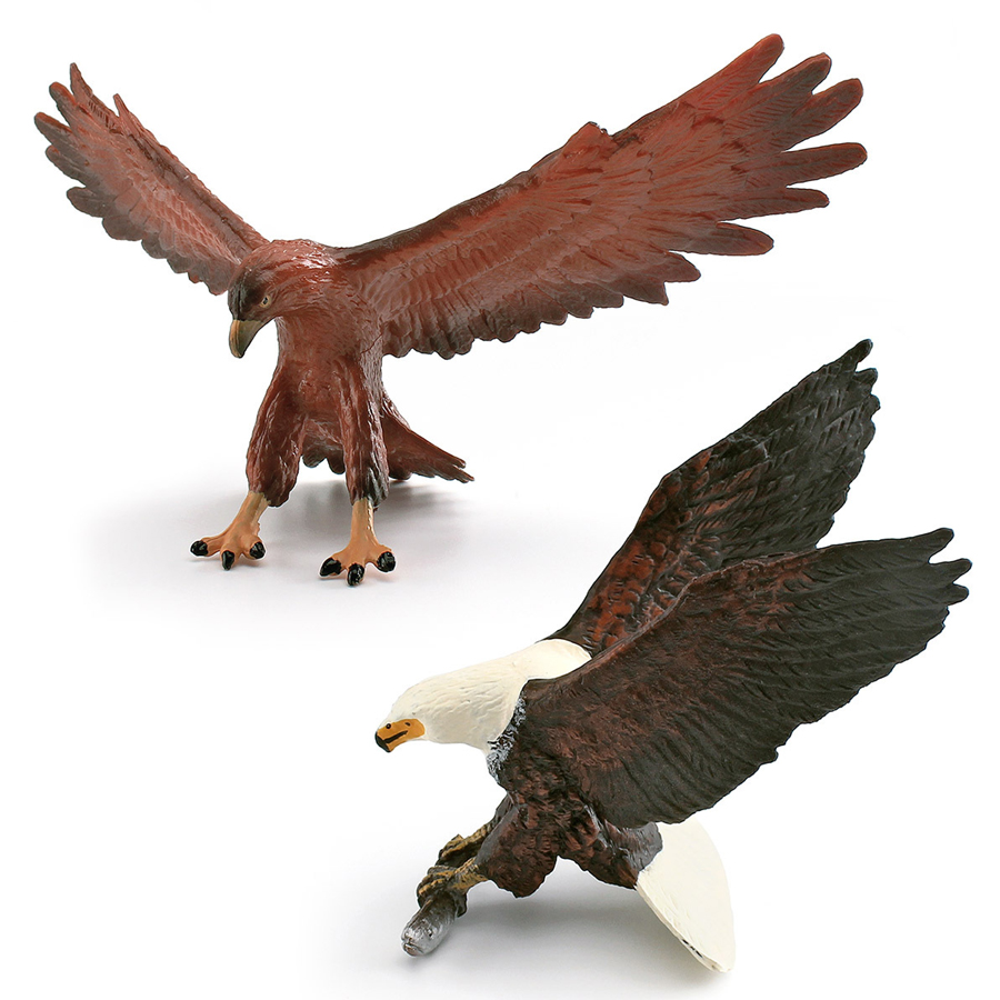 Realistische Wildtier-Tiere, R – Kids Education Picture Bewertung und Preis
