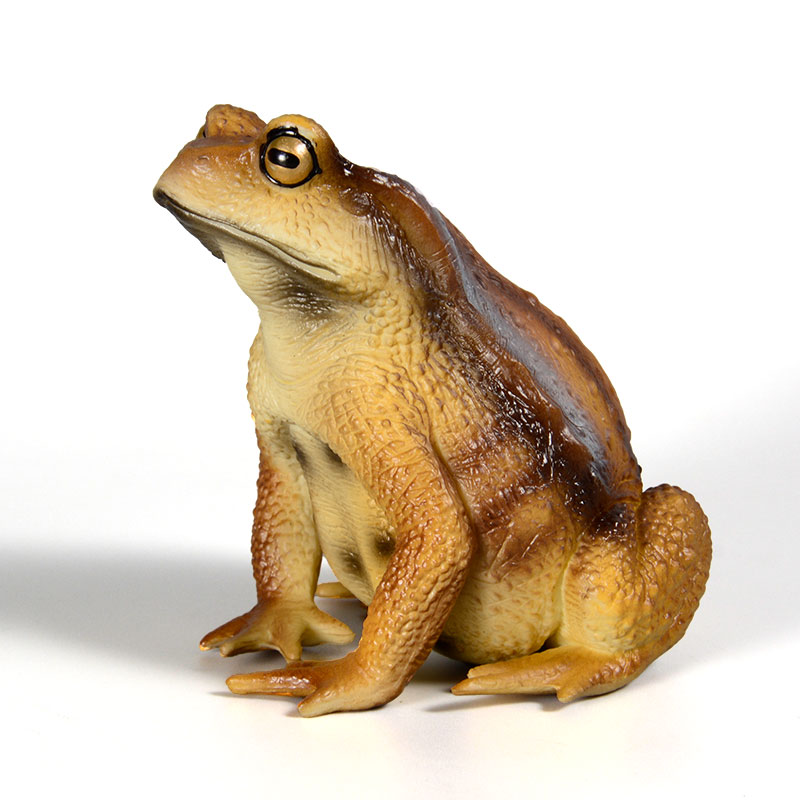 Amphibien-Frosch-Figur Insekte – Kids First Education Bewertung und Preis