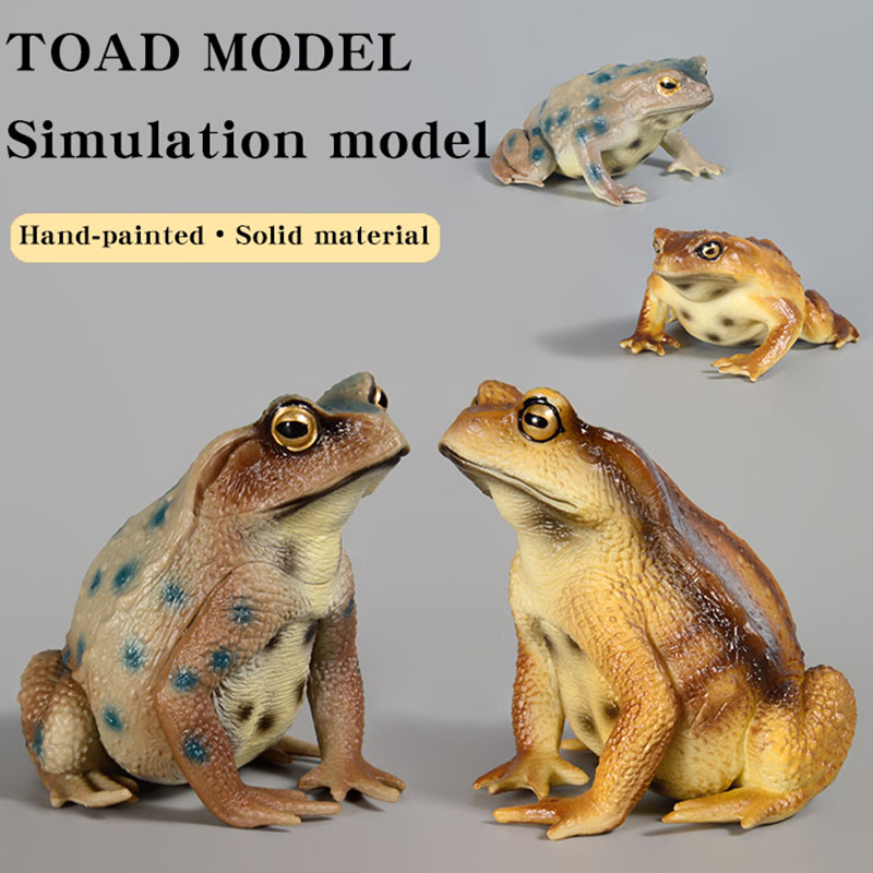 Amphibien-Frosch-Figur Insekte – Kids First Education Bewertung und Preis