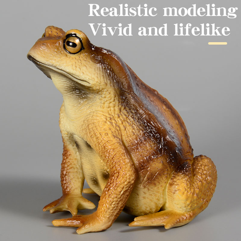 Amphibien-Frosch-Figur Insekte – Kids First Education Bewertung und Preis