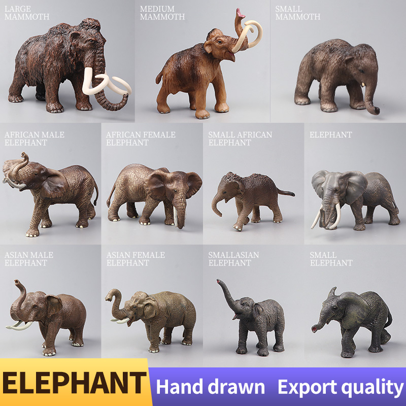 Afrikanische Wildtiere Großer  – Kids First Education Bewertung und Preis