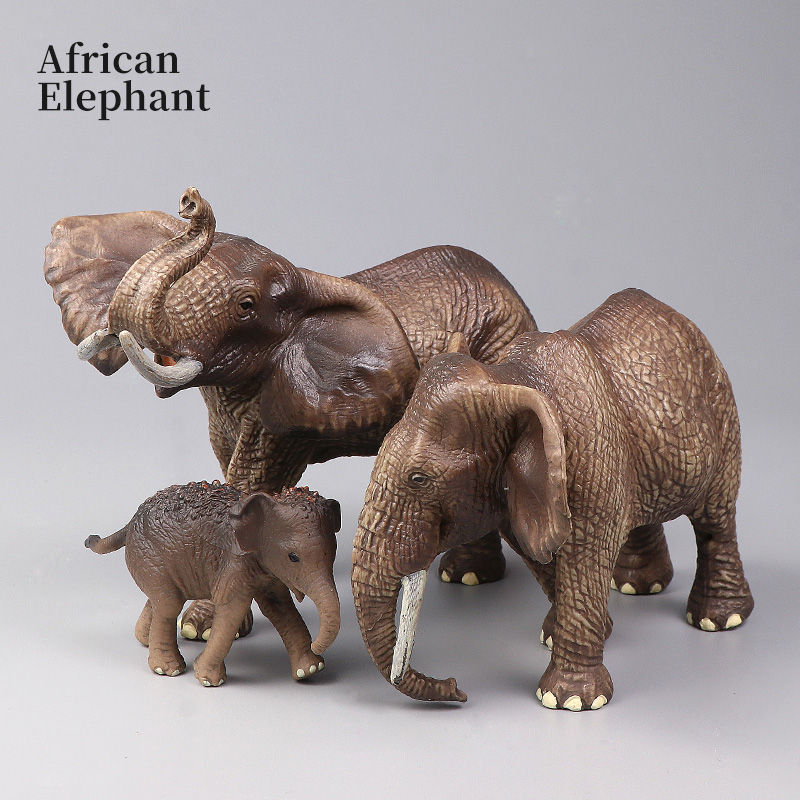 Afrikanische Wildtiere Großer  – Kids First Education Bewertung und Preis