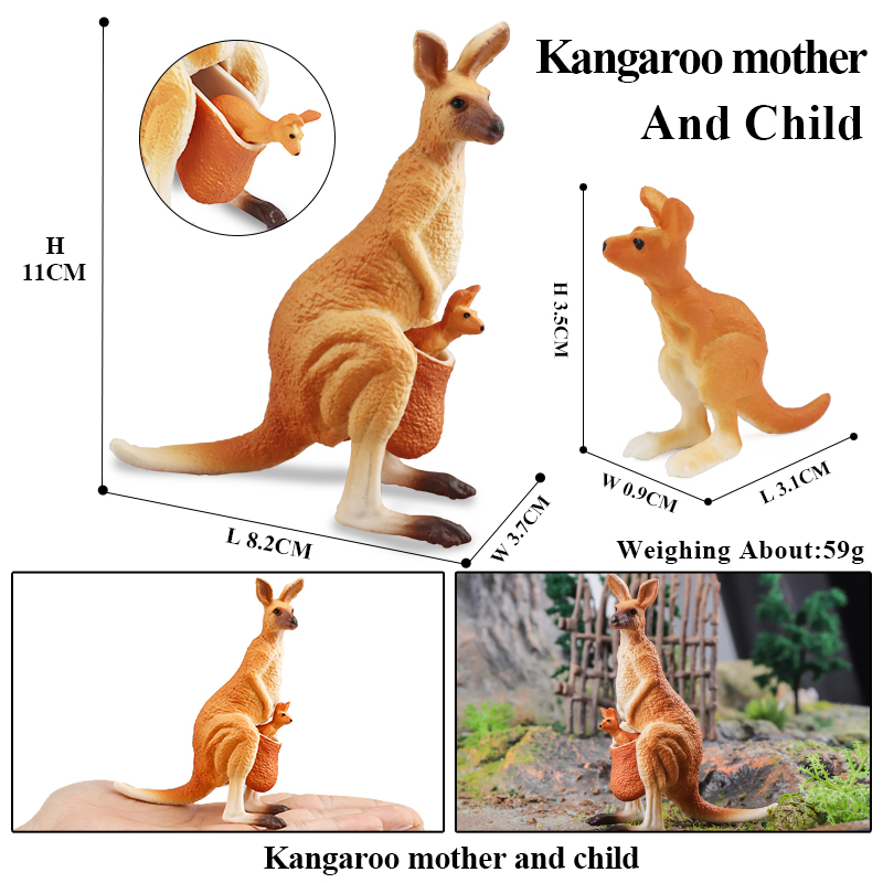 Oenux Klassische australische  – Kangaroo Kids Education Bewertung und Preis