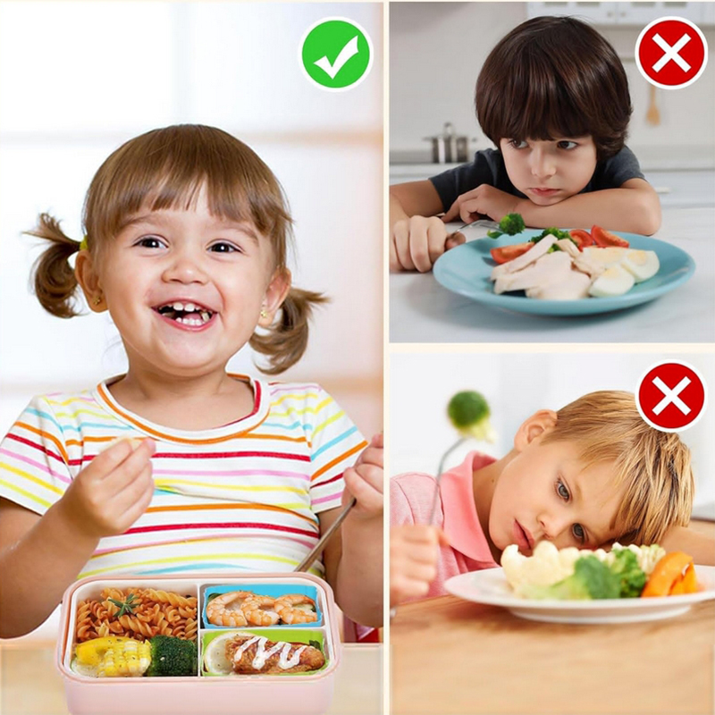 8 Stück Silikon-Lunchbox-Trenn – Kids Education School Bewertung und Preis