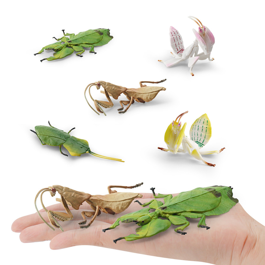Realistische Orchideen-Mantis, – Kids Education Picture Bewertung und Preis
